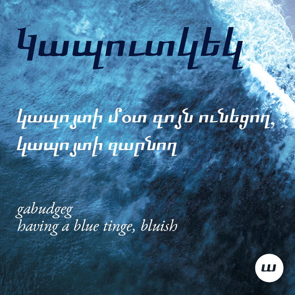 Կապուտակեկ